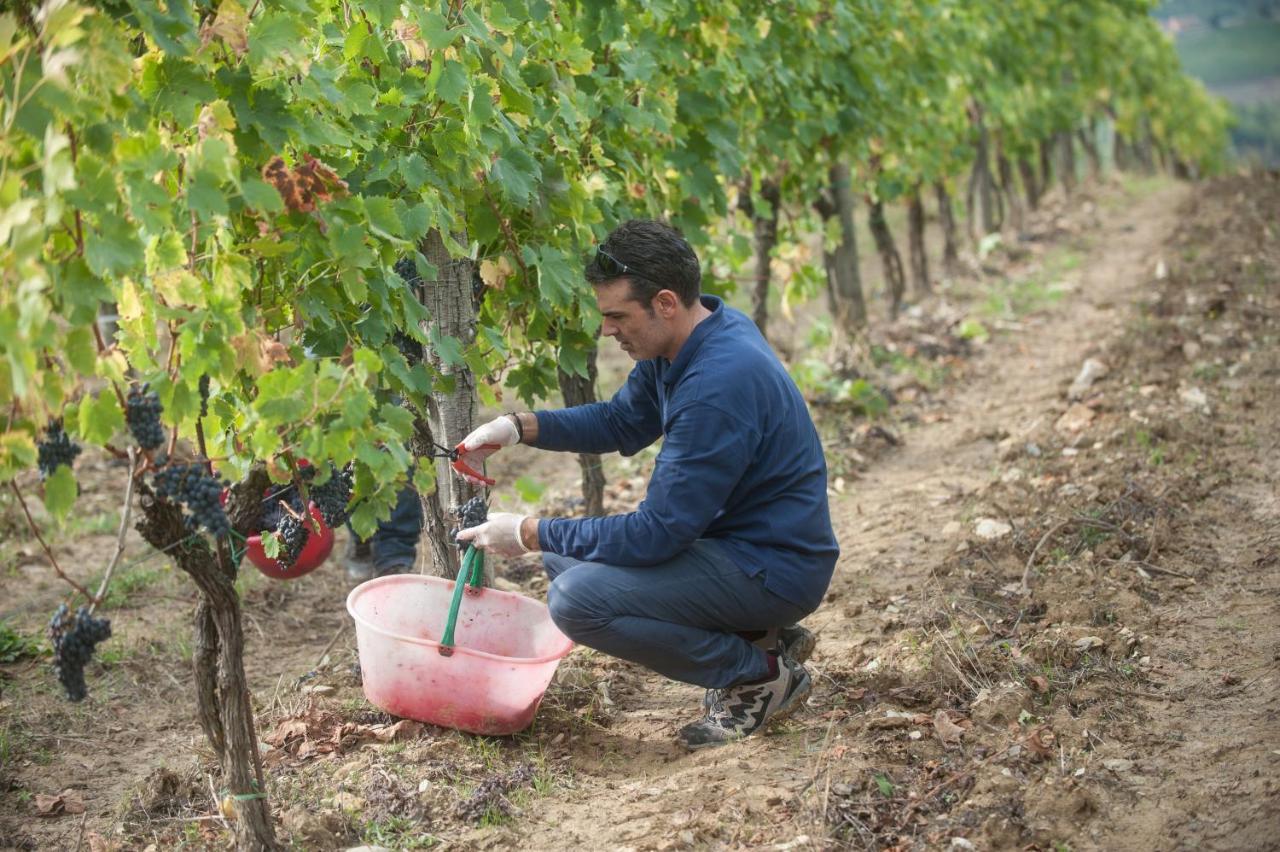 La Valletta Boutique Wine Estate Panzano in Chianti Екстер'єр фото