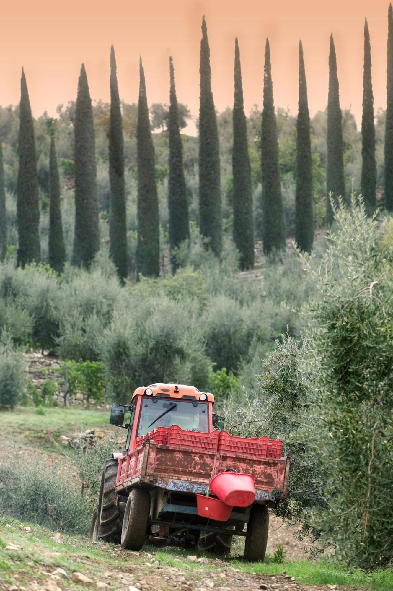 La Valletta Boutique Wine Estate Panzano in Chianti Екстер'єр фото